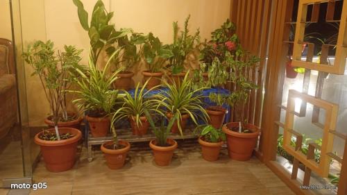 Nerul House | Keshvas Home Stay