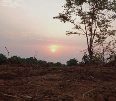 Murbad Other | Kittu's Farm