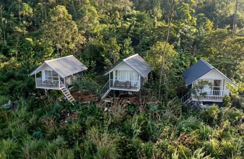 Suryanelli House | Kolukkumalai Wild Cabins