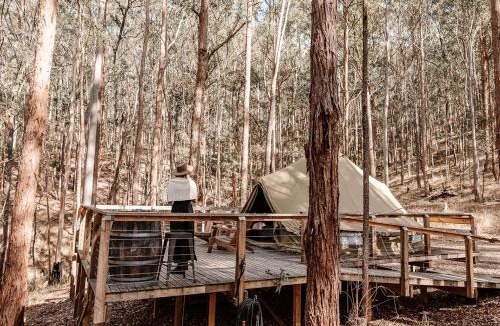 Wyee Other | Kookaburra Chateau