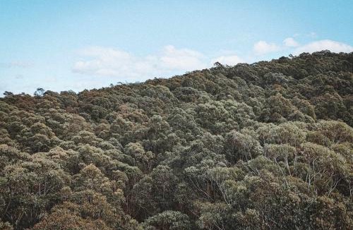 Wyee Other | Kookaburra Manor