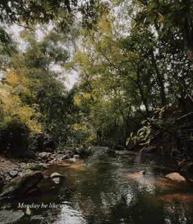 Madikeri Cabin | Kotekad estate stay