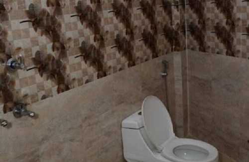 Haldwani Hotel | Krazy Hotel