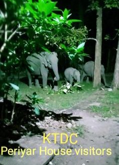 Thekkady Resort | KTDC Periyar House