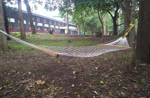 Thekkady Resort | KTDC Periyar House
