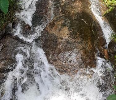 Kunchithanny House | Kurinjiyil farmstay munnar