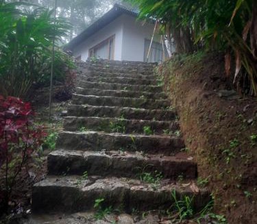 Kunchithanny House | Kurinjiyil farmstay munnar