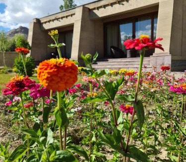 Leh Resort | Ladakh Eco Resort