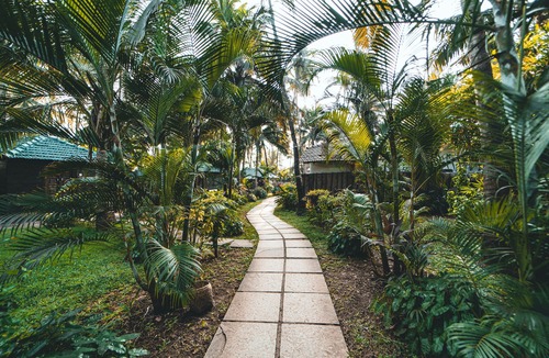 Morjim Hotel | Leela Cottages