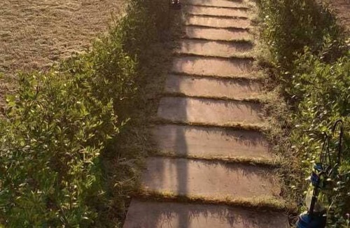 Jamool Khera Hotel | Leopard Valley Ranthambhore