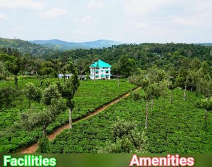 Udumbanchola Hotel | Lumino Winter Castle, Munnar