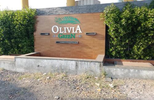 Olpad Villa | Luxurious Farm House - Nature, Peace, Privacy