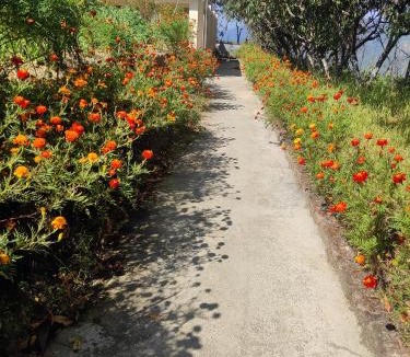 Kaul House | Maa Parwati Homestay Dhanachuli