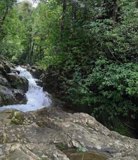 Agumbe House | Malnad cloud homestay Agumbe