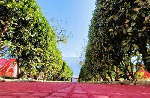 Simsa Village Villa | Manali Heart Villa