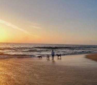 Mararikulam House | Marari Babu Homestay