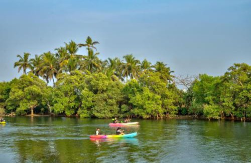 Baga Hotel | Mayonna Creek Side