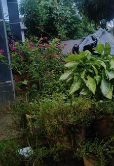 Mansarovar House | Mercy Homestay in Mansarovar, Jaipur
