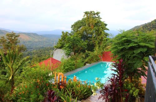 Todupulai Hotel | Mist Farm Resort