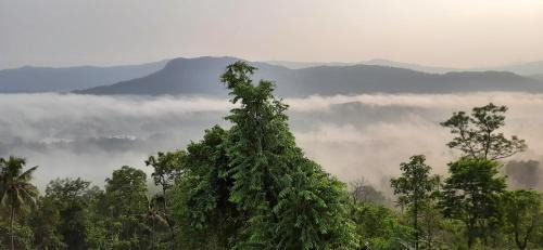 Todupulai Hotel | Mist Farm Resort
