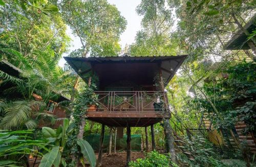 Pirmed House | Monsoon Retreats by DAAN