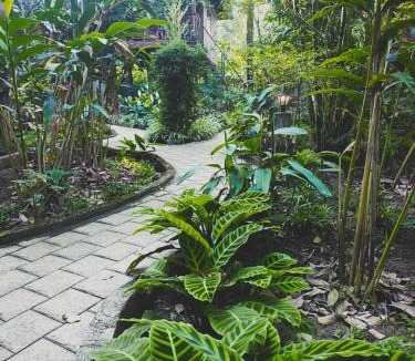 Pirmed House | Monsoon Retreats by DAAN