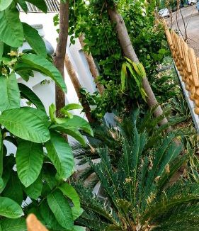 Gwalior House | Moti Manas Mansion - A Homestay in Gwalior