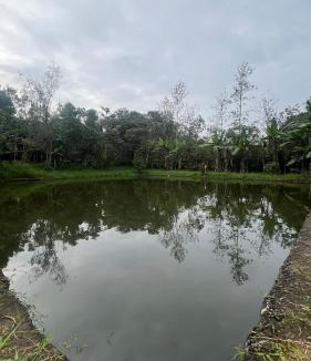 Uttamapalaiyam House | Mountain View Resort