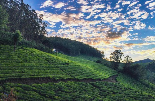 Devikolam Villa | Munnar Valley View