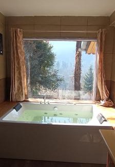 Kullu Villa | narayanatreecottage