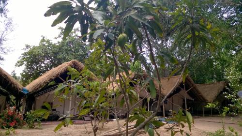 Konark Other | Nature Camp Konark Retreat