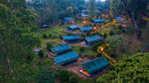 Munnar Resort | Nature Zone Munnar - A Real Jungle Resort - Authentic Tree House and Premium Tents
