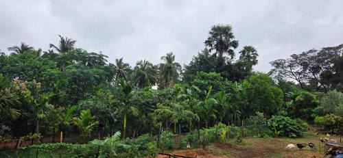Tenkasi House | Nirmala's Farmhouse - The Blu room