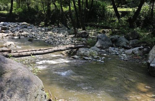 Chamba House | NotOnMap- Saal River Homestay