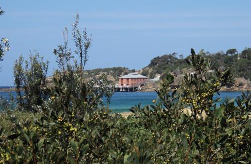 Tathra Resort | NRMA Tathra Beachfront Holiday Park