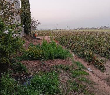 Patiala House | Padda Farm house