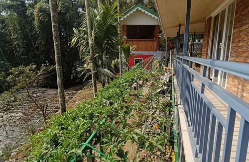 Rangpo Bed & Breakfast | Peaceful Stay in Zitlang | A Serene Nature Retreat for a Refreshing Getaway