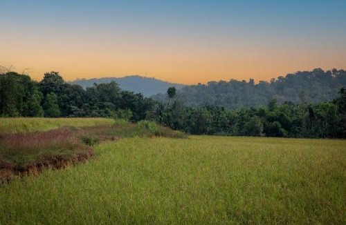 Koppa House | Prakruthi Home Stay