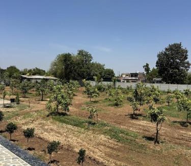 Borsad Villa | Private Nature Escape Premium Farm Stay