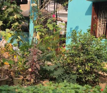 Bolpur House | Priyanka Homestay
