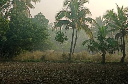 Harihareshwar House | Priyansh Home stay