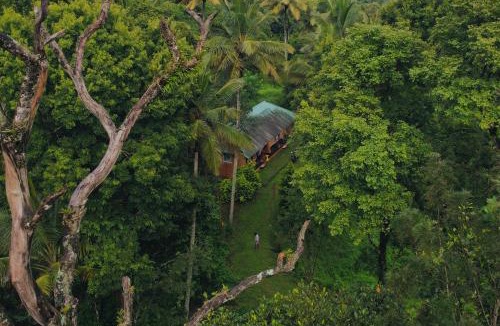 Ramakkalmedu Bed & Breakfast | Punarjani Ayurvedic Resorts