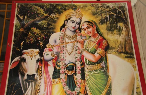 Srirangam Hotel | Radhe Krishna Guest House