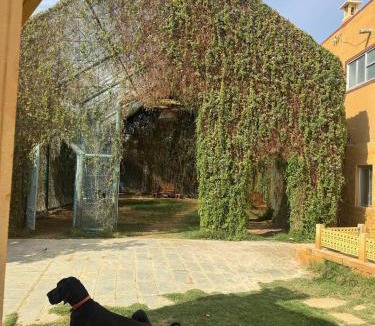 Dedha House | Rudragarh