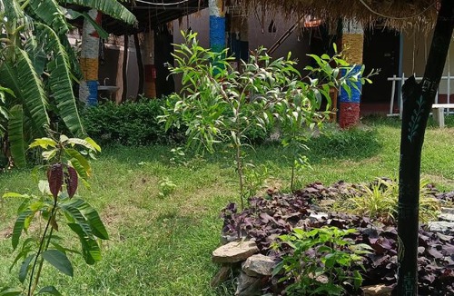 Arrah House | Rupkatha Eco Stay, PURULIA