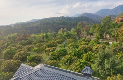 Dharamshala House | S R Homestay