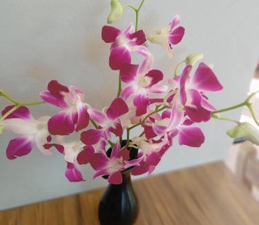 Agonda House | SAI HOMESTAY
