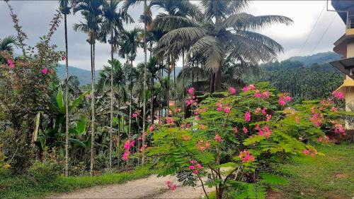 Horanadu House | Samruddhi Homestay