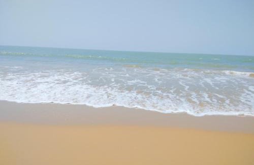 Hireguthi House | sarvesh tant 2