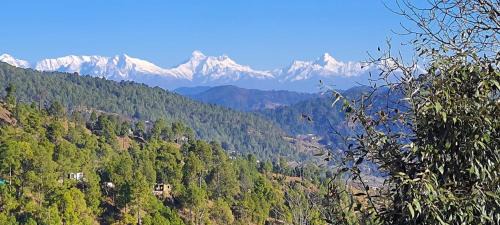 Mukteshwar Hotel | SD Motel